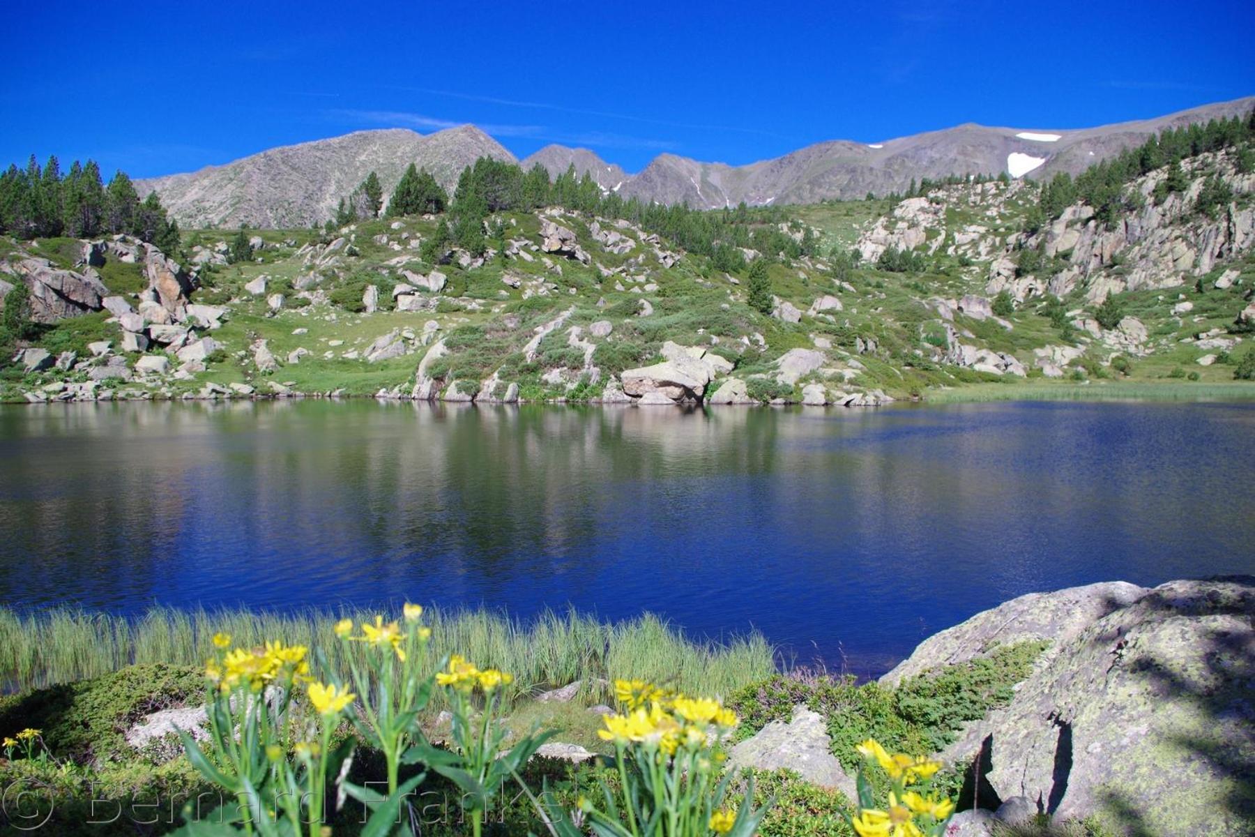 Studio Ecureuil 2 Pers Au Coeur De La Montagne La Llagonne Экстерьер фото